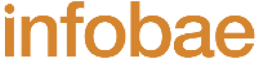 Campaña SEO Infobae