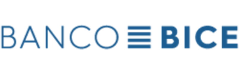 Campaña SEO Bice